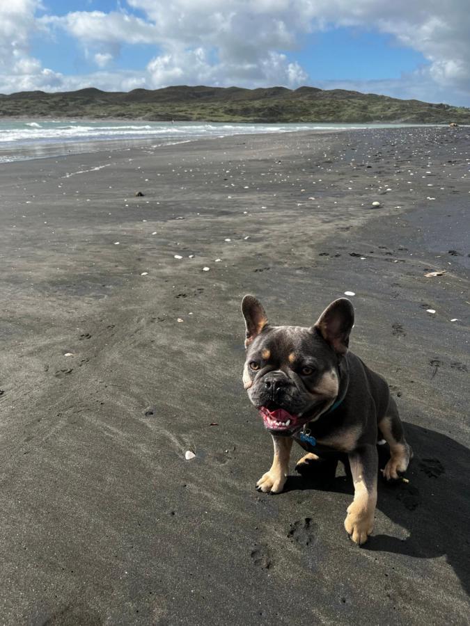 Appartamento Raglan Retreat On Gilmour Esterno foto